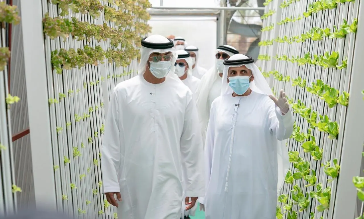 کشاورزی عمودی امارات