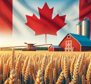 بازار کشاورزی کانادا