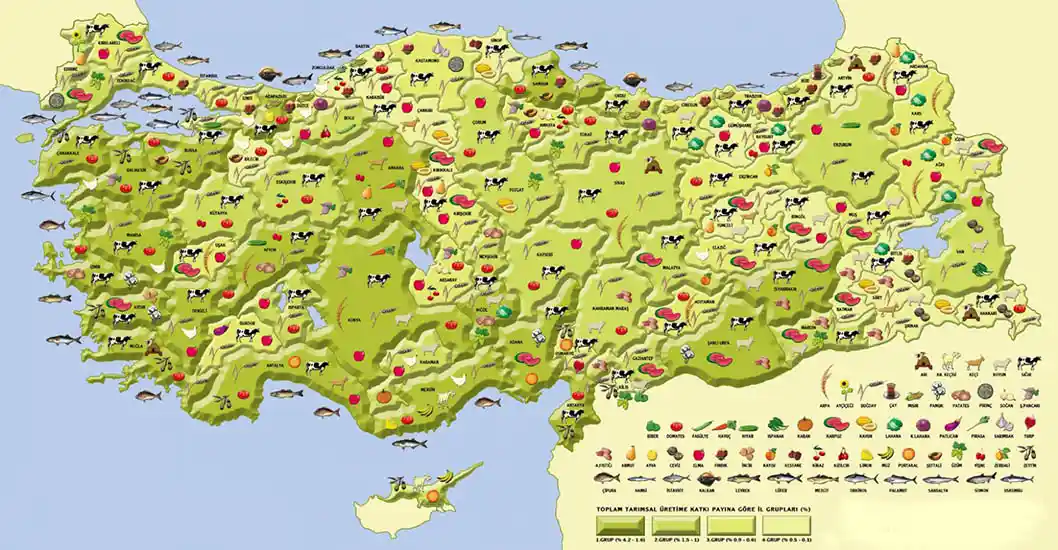 بازار ترکیه