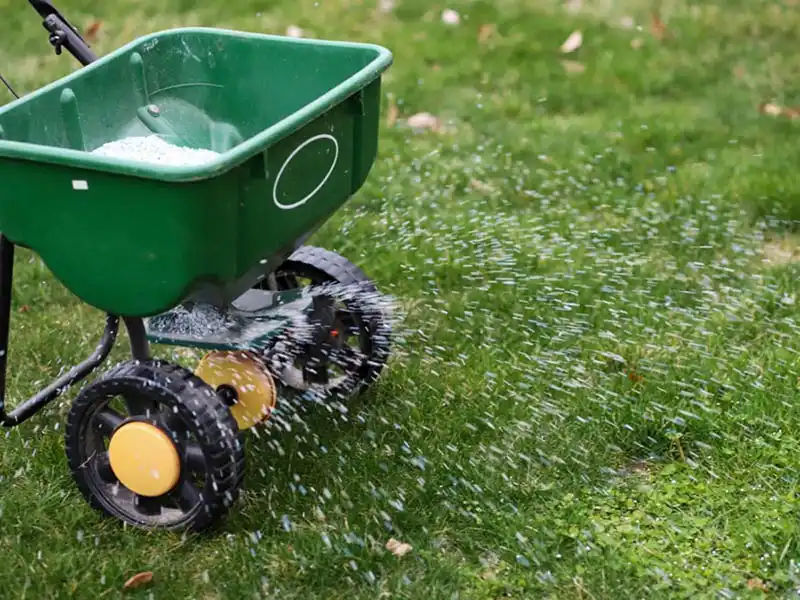 Granular Fertilizer