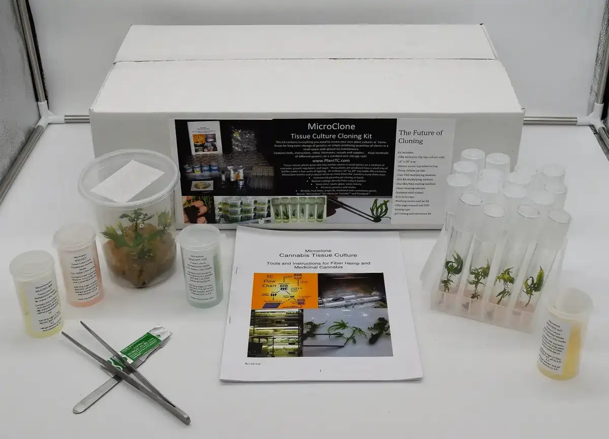 Tissue Culture Challenges