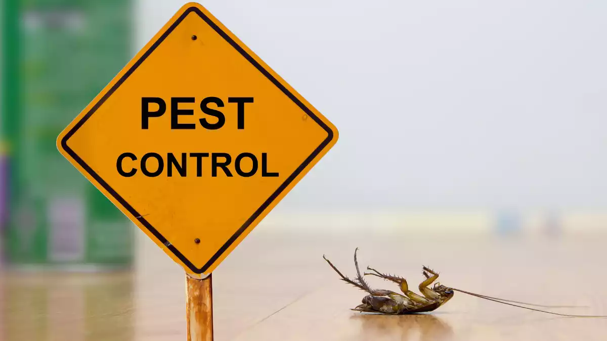 کنترل شیمیایی آفات کشاورزی