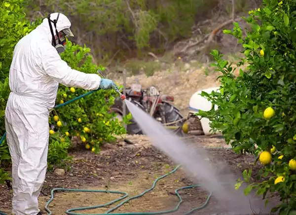 ساختار و نحوه تاثیر علف کشها