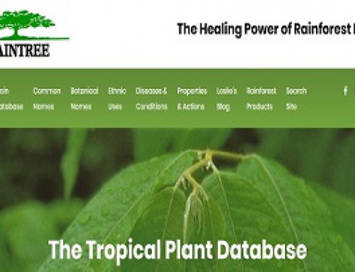 پایگاه داده Rain Tree