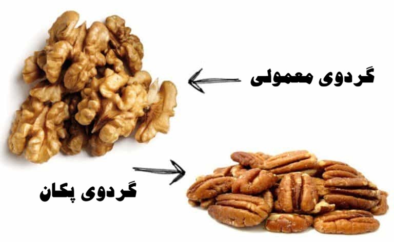گردو پکان