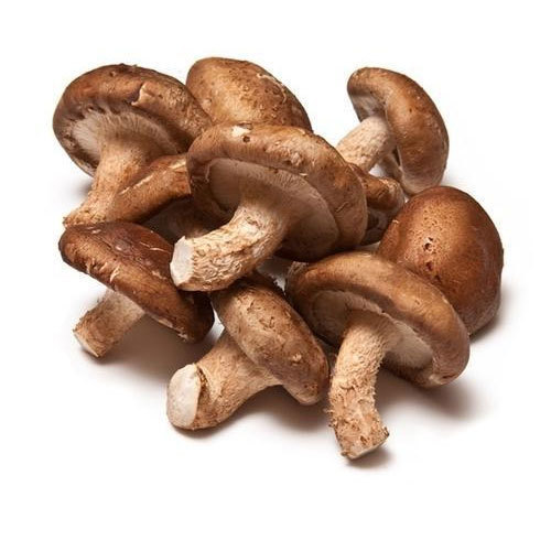 انواع قارچ های خوراکی