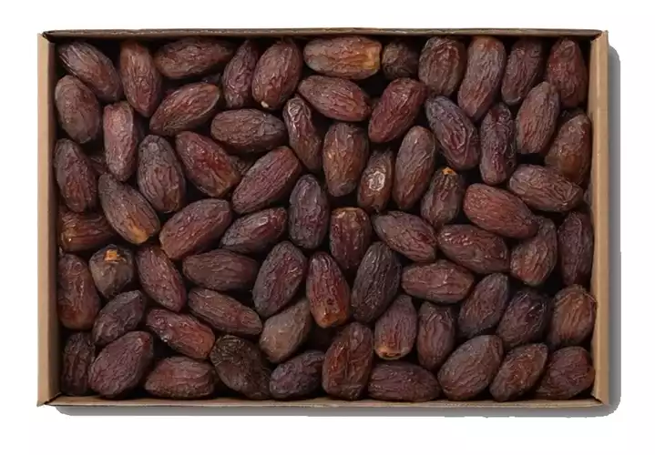 میوه خرمای مجول