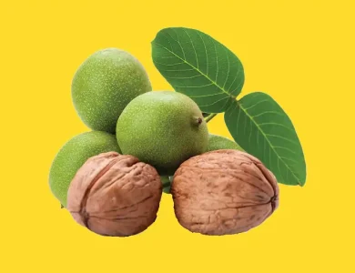 گردو چندلر