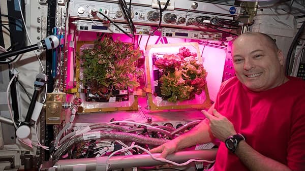 تولیدات گیاهی در فضا