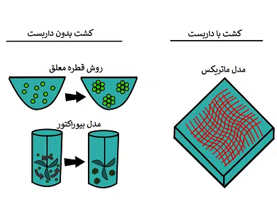 مقایسه روش های کشت سه بعدی سلولی