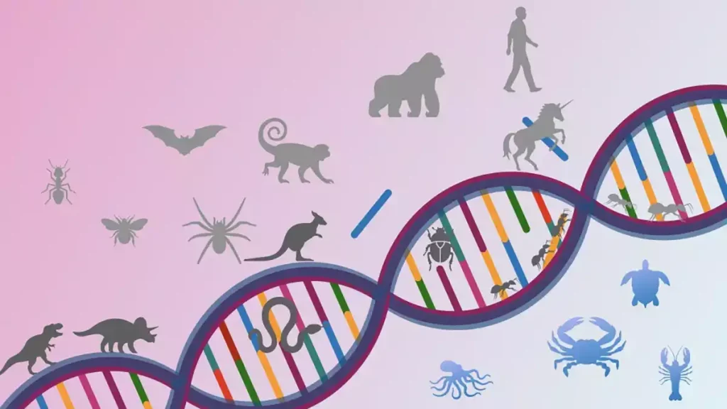 تکامل ژنتیکی