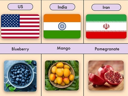 national fruits