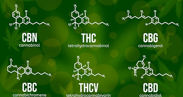 تتراهیدروکانابینول THC