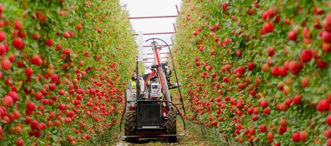 robots for agriculture