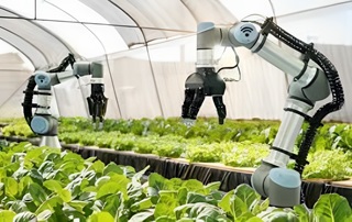 کاربرد ربات ها در کشاورزی