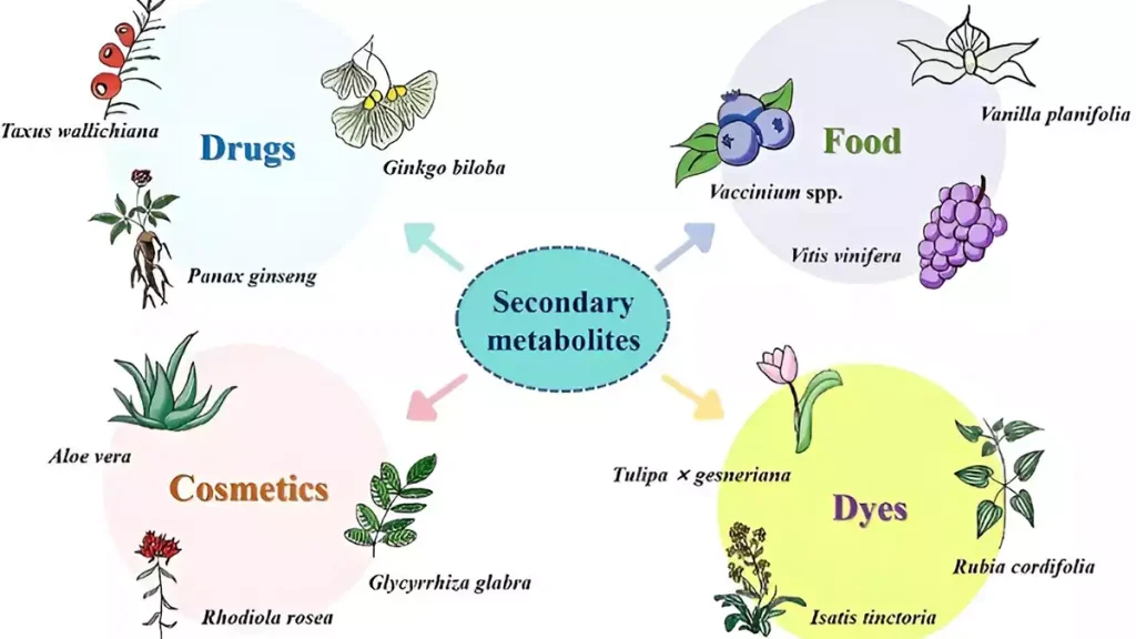 کاربرد متابولیتهای ثانویه گیاهی