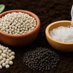 بهترین کودهای ضد شوری