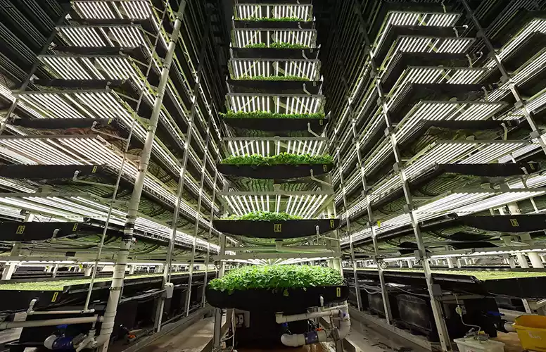 انواع کشت هوشمند