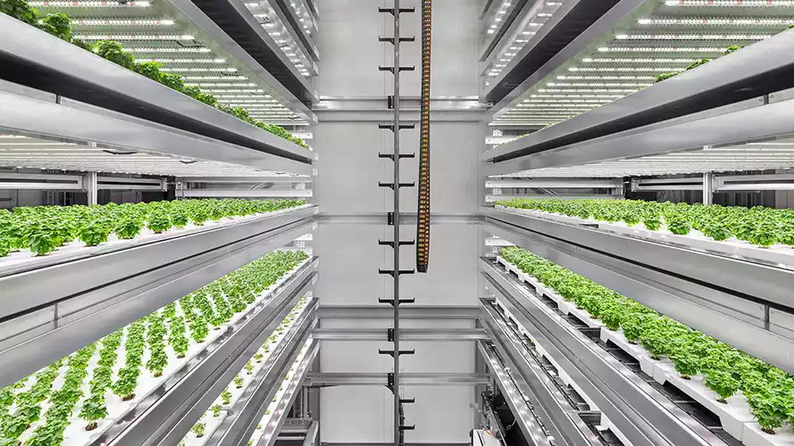 انواع کشت هوشمند