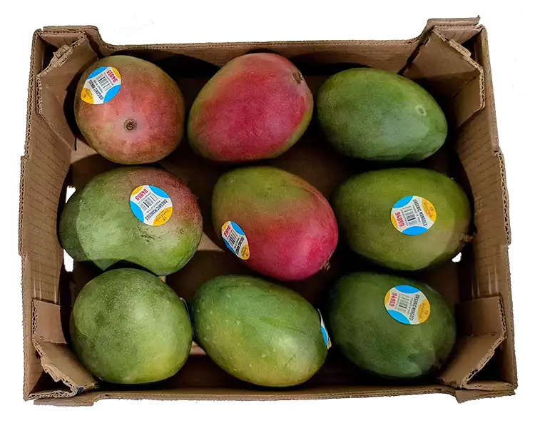 انبه پاکستانی