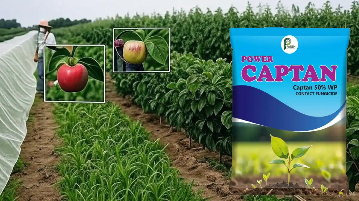 قارچکش کاپتان