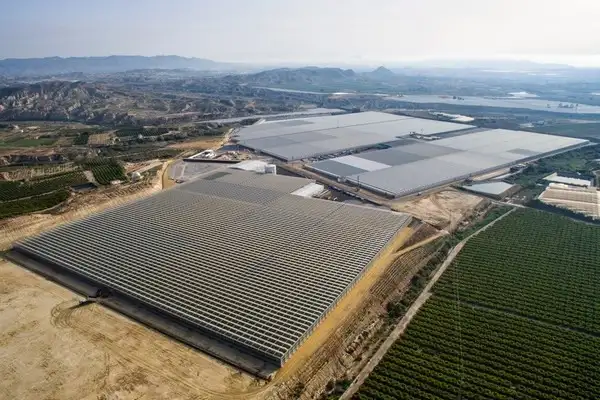 گلخانه اسپانیایی