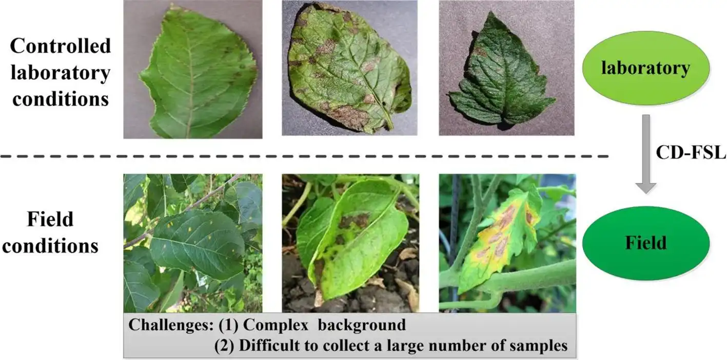 Deep Learning در کشاورزی