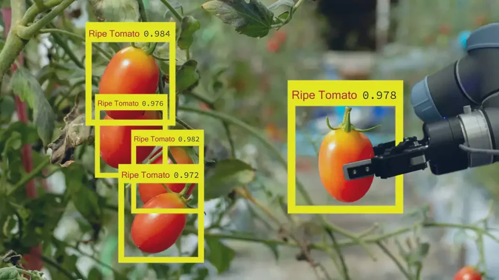 Deep learning در کشاورزی