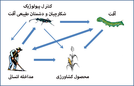 مدیریت تلفیقی آفات