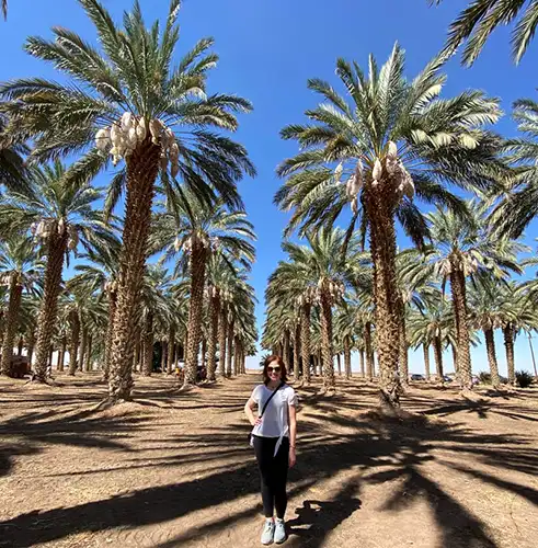 گردشگری در نخلستان