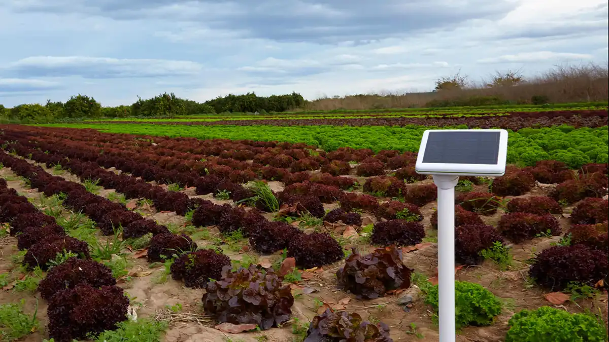 سنسورهای کشاورزی