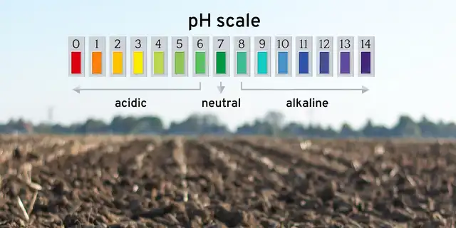 تنظیم pH خاک